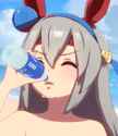 258 KB
