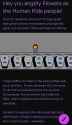 215 KB