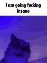 1.19 MB