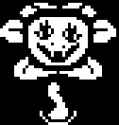 443 B