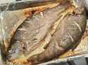 1020 KB