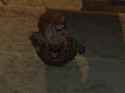 1.18 MB