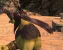 804 KB