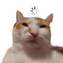 23 KB