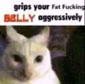 60 KB