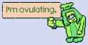 9 KB