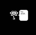 40 KB