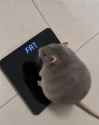 735 KB