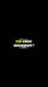 1.91 MB