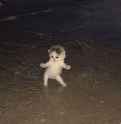 3.93 MB