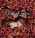 2.1 MB