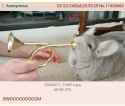 42 KB