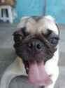 747 KB