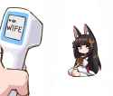 272 KB