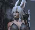 809 KB