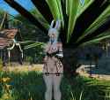 326 KB