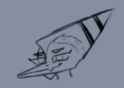 56 KB