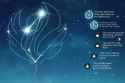 1.55 MB