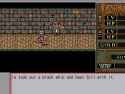 34 KB