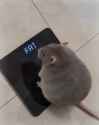 193 KB