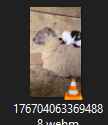 13 KB