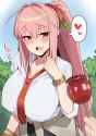 1.17 MB