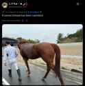 422 KB