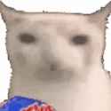 445 KB