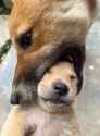 116 KB