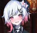 249 KB