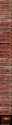 2.5 MB