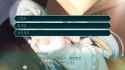 1.29 MB