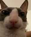 948 KB