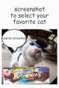2.42 MB