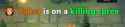 31 KB