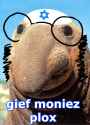 300 KB