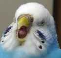 216 KB
