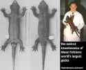 9 KB