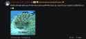 34 KB