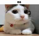 309 KB
