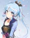 1.23 MB