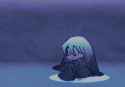 51 KB