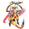 44 KB