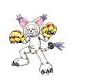 101 KB