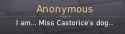 234 KB