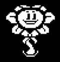 29 KB