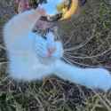 104 KB
