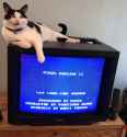 262 KB