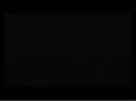 3.95 MB