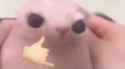 71 KB